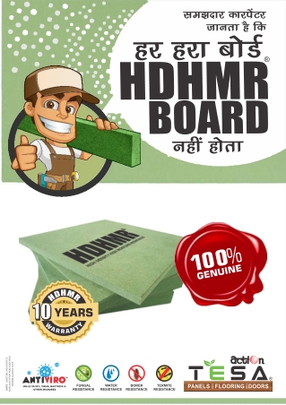 HDMR Ply Board Price in India | Action Tesa Boards