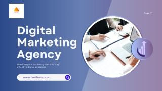 Professional Digital Marketing Agency