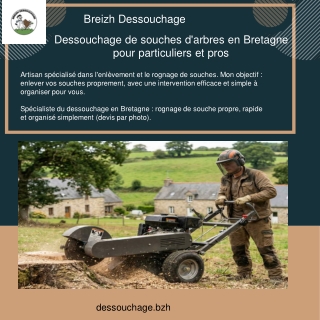 dessouchage prix