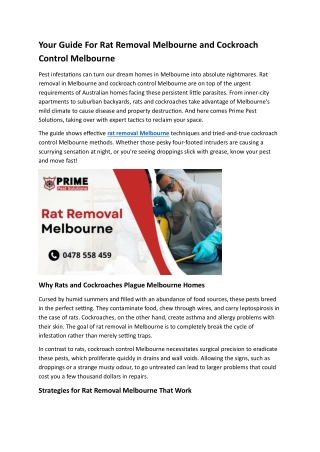 Prime Pest Solutions – Professional Pest Control You Can Trust