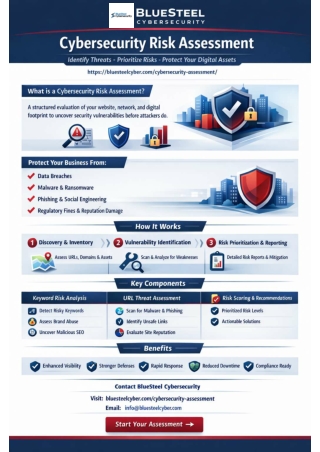 Cybersecurity Risk Assessment Service | BlueSteel Cybersecurity