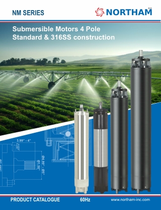 High-Performance Submersible Motors 4 Pole Standard & 316SS | Northam Inc