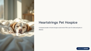 Heartfelt Support for Families During Pet Farewell Moments