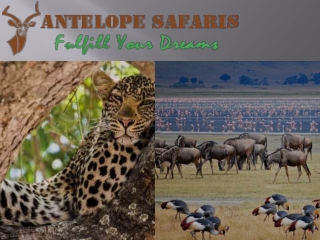 4 Days Hot Air Balloon Safari