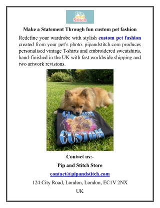 Make a Statement Through fun custom pet fashion