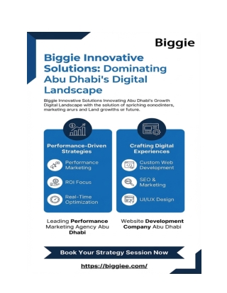 Biggie.com _ PDF _ Digital Marketing Agency in Abudhabi