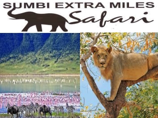 10 Days Tanzania Wildlife Safari