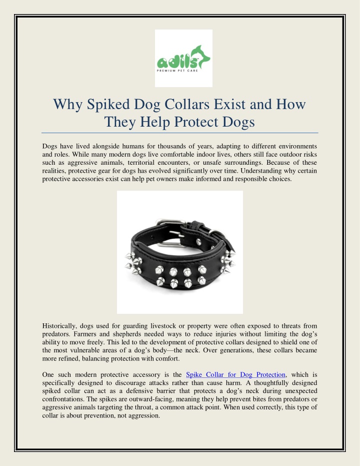 PPT - Why Spiked Dog Collars Exist and How They Help Protect Dogs ...