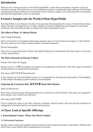 Exclusive Insights into the World of Ilsan HyperPublic