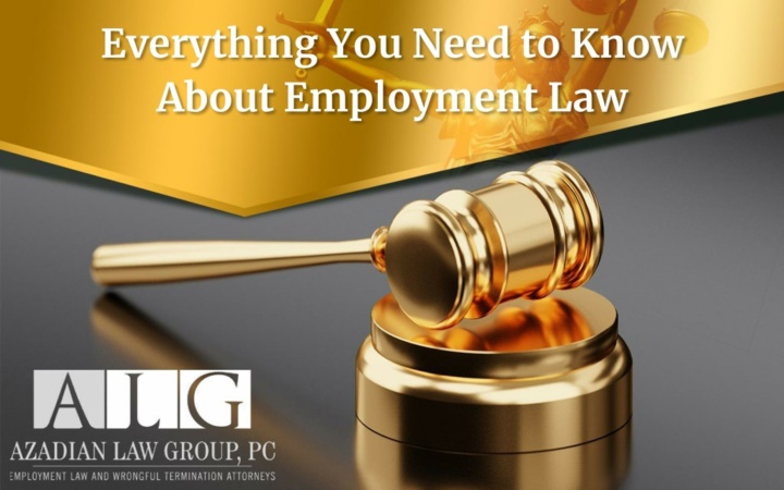 PPT - Everything You Need to Know About Employment Law PowerPoint ...