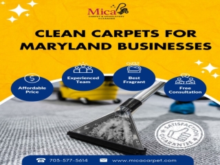 Clean Carpets for Maryland Businesses