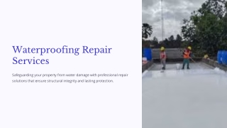 Waterproofing-Repair-Services