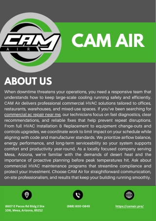 Cam Air
