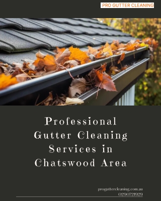 Professional Gutter Cleaning Services in Chatswood Area