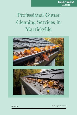 Professional Gutter Cleaning Services in Marrickville