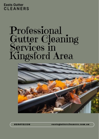 Professional Gutter Cleaning Services in Kingsford Area