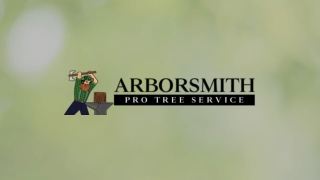 Arborsmith Pro Tree Service_ Certified Tree Service Company in Port Orchard, WA