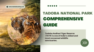 Tadoba National Park