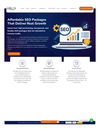 Best SEO Packages in India