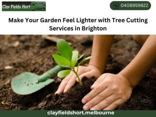Make Your Garden Feel Lighter with Tree Cutting Services in Brighton