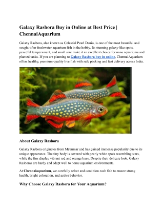 Galaxy Rasbora Buy in Online
