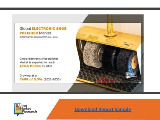 Latest Updates in Electric Shoe Polisher Market