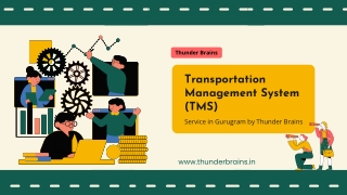Transportation Management System (TMS) Service in Gurugram by Thunder Brains