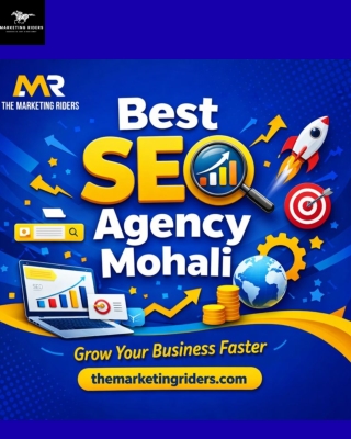 Best SEO Agency Mohali: Complete SEO Solutions for Sustainable Online Growth