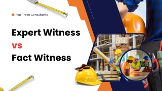 Fact Witness vs Expert Witness: A Complete Legal Guide | Plus Three Consultants