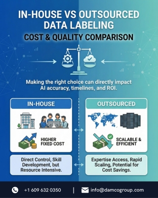 In-House vs Outsourced Data Labeling Cost & Quality Comparison