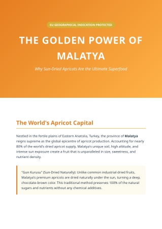 The Golden Power of Malatya - Why Sun-Dried Apricots Are the Ultimate Superfood