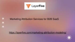 Marketing Attribution Services for B2B SaaS