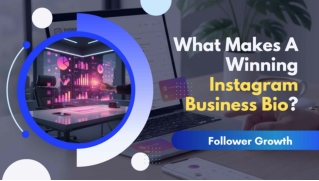 What Makes a Winning Instagram Business Bio