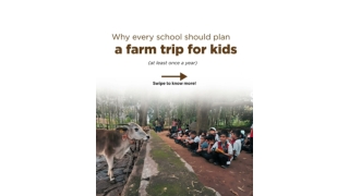 Why Every School Should Plan a Farm Trips for Kids