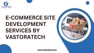 E-Commerce Site Development Services by Vastoratech