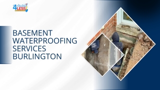 Basement Waterproofing Services Burlington