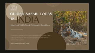 Guided Safari Tours India