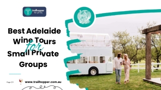 Best Adelaide Wine Tours for Small Private Groups