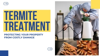 Termite Treatment Protecting Your Property from Costly Damage