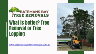 What is better Tree Removal or Tree Lopping