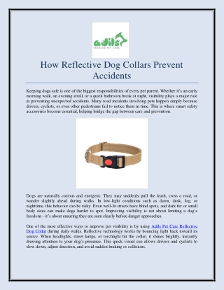 How Reflective Dog Collars Prevent Accidents