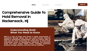 Certified Mold Removal & Remediation Services in Hackensack, NJ