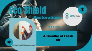 Restoration Companies in Idaho Falls