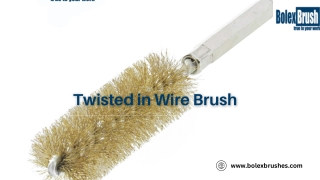 Twisted in Wire Brush