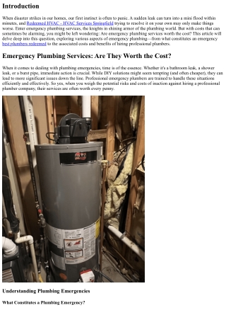 Emergency Plumbing Services: Are They Worth the Cost?