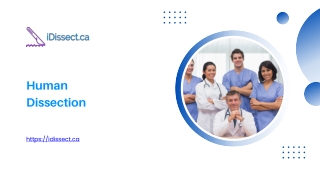 Human Dissection - idissect.ca