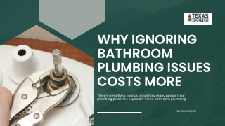 Why Ignoring Bathroom Plumbing Issues Costs More