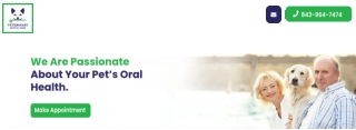 Comprehensive Dog Dental Care in Mt Pleasant, SC