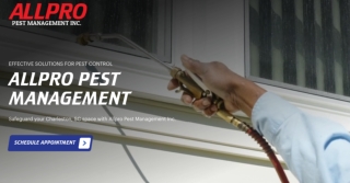 Top Rodent Control Services Near Johns Island, SC