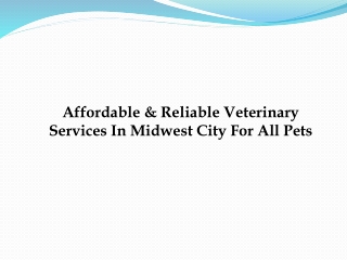 Affordable & Reliable Veterinary Services In Midwest City For All Pets
